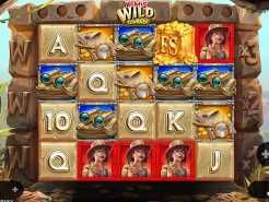 Kim's Wild Journey Slots